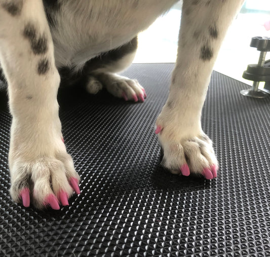 Pintado de uñas