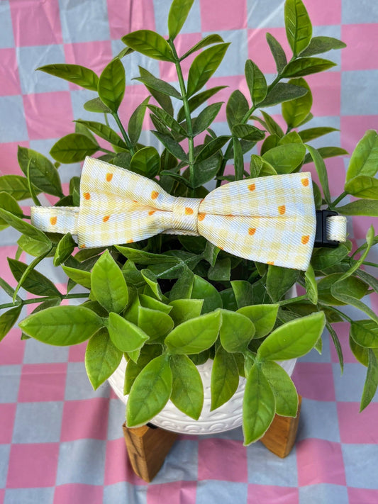 Picnic Chic – Collares con Lazo