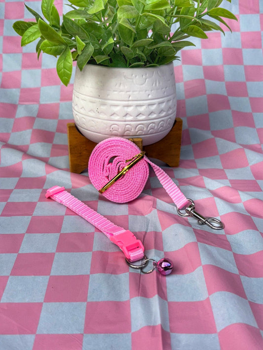 Conjunto collar y leash