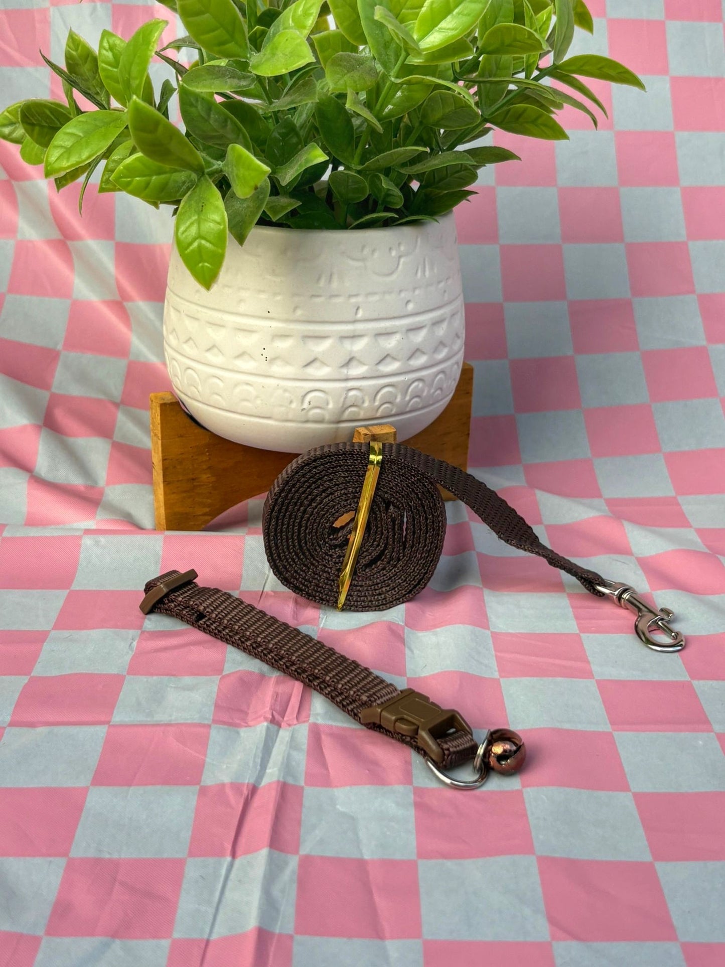 Conjunto collar y leash