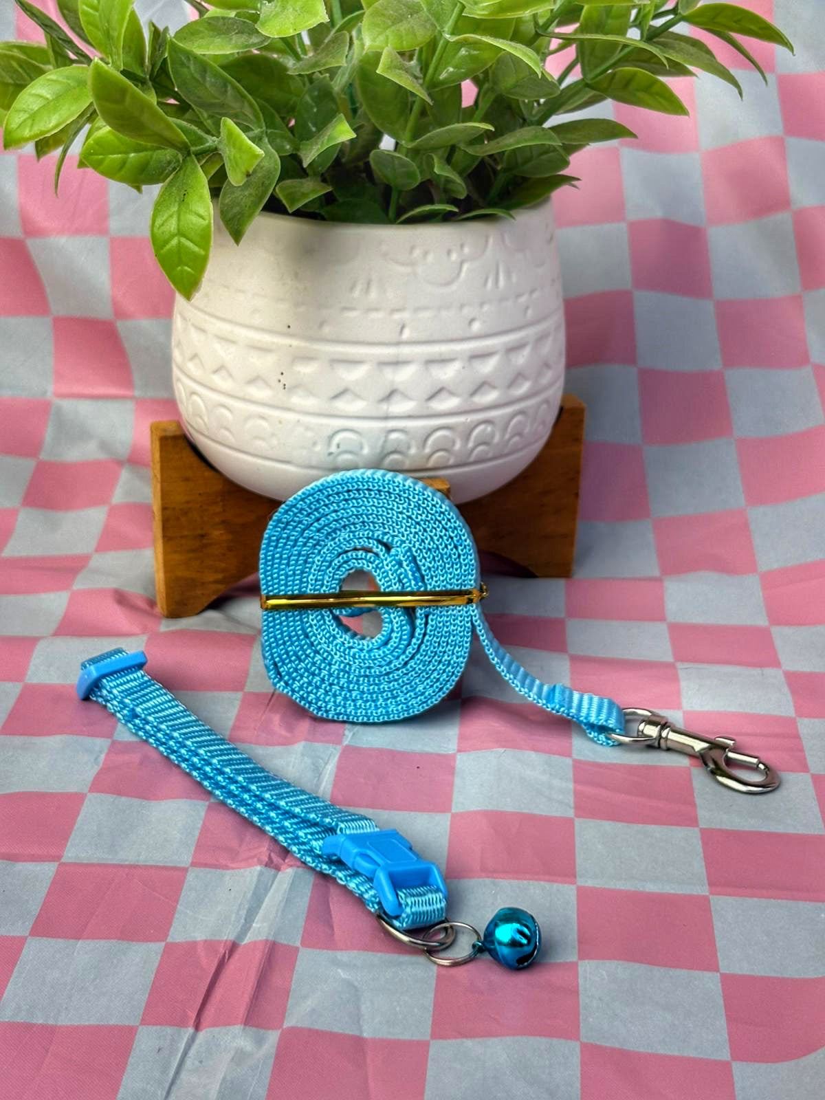 Conjunto collar y leash