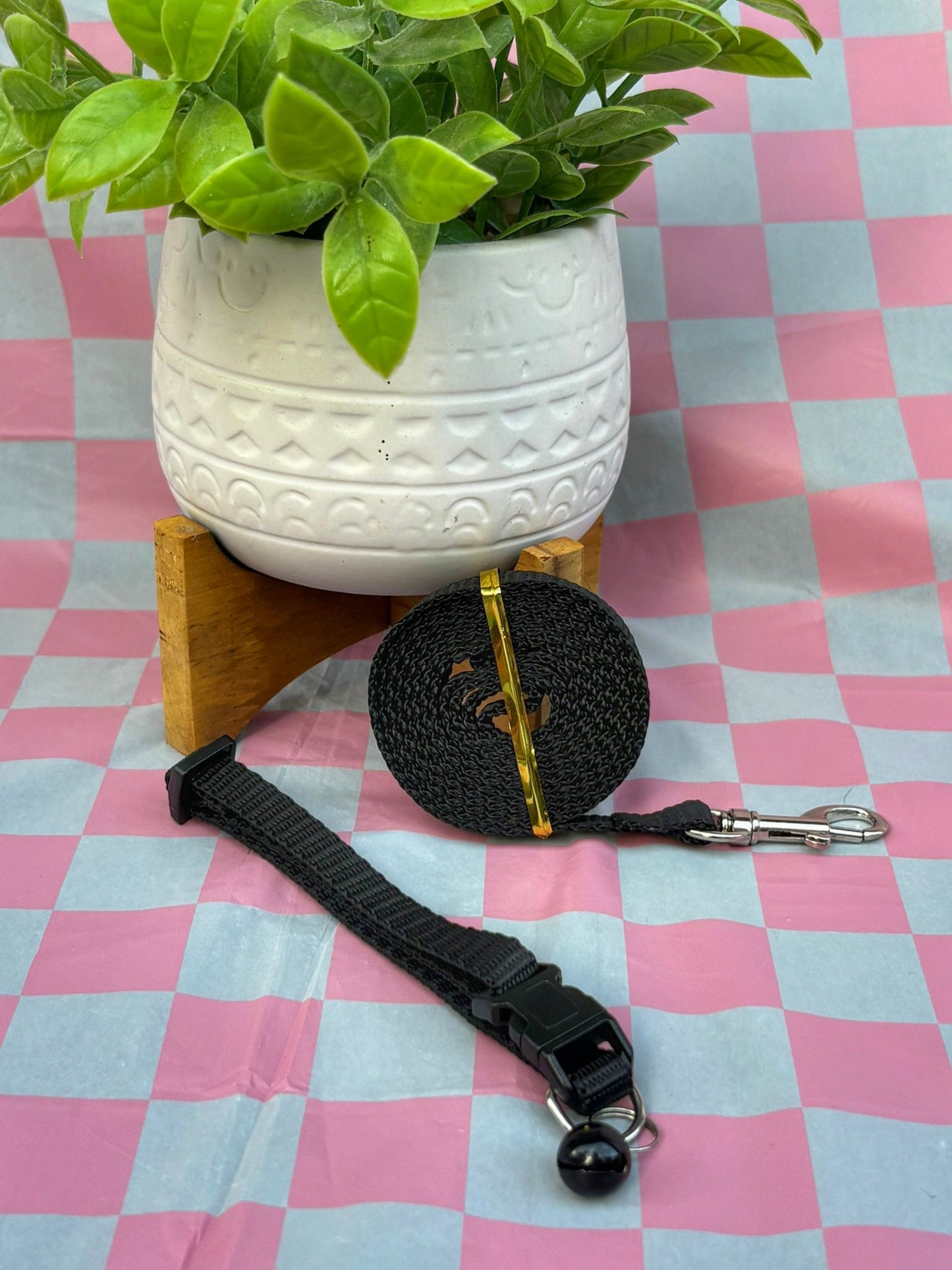 Conjunto collar y leash