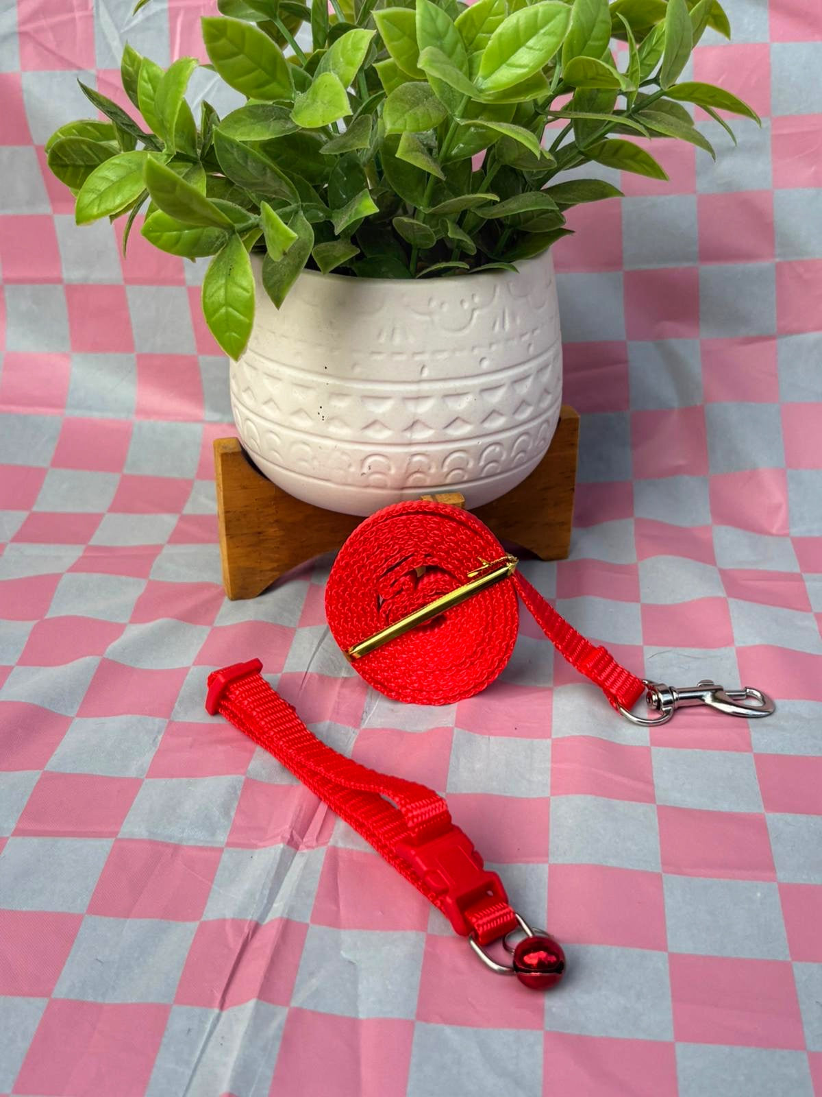 Conjunto collar y leash
