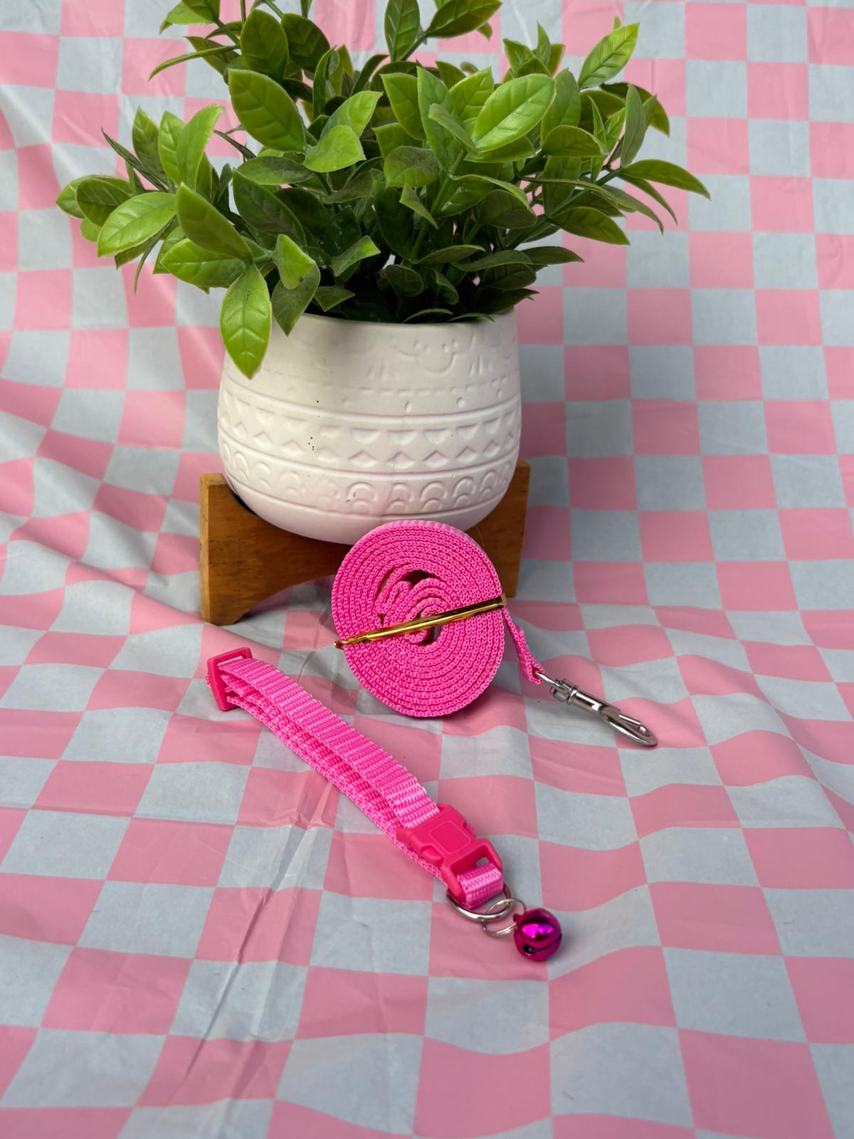 Conjunto collar y leash