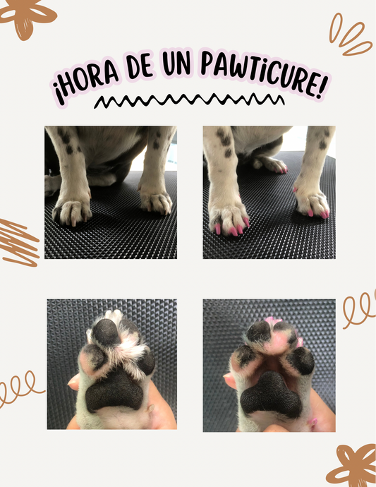 Pawticure